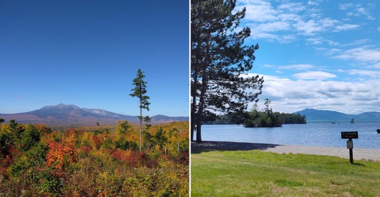8 Maine Areas Where Black Bear Sightings Are Especially Common This Time Of Year