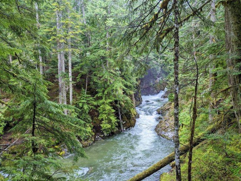 Washington Has A Waterfall You Reach In Ten Minutes That Roars Loud Enough To Feel