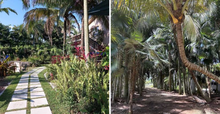 This Secret South Florida Lagoon Lets You Swim All Day For Just $20