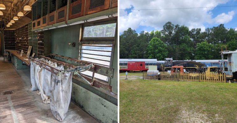 The Historic South Carolina Train Ride That Shows Off Fall Foliage Locals Try To Keep Secret