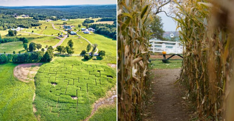 This Maine Farm Lets Visitors Explore A Corn Maze After Dark Just Before Halloween