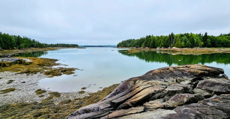 Thousands Of Migrating Birds Fill The Skies Over This Quiet Maine Wildlife Refuge Every Fall