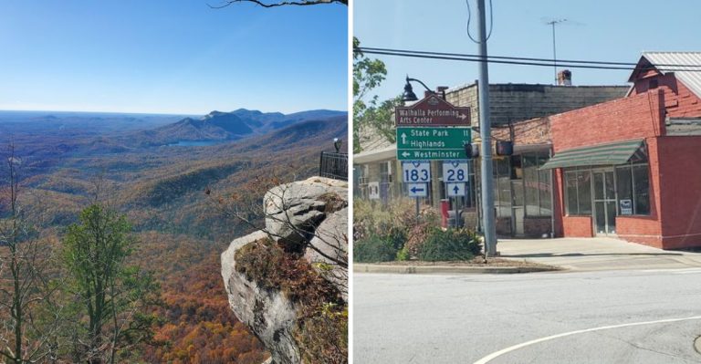 This Small South Carolina Town Has So Many Black Bear Sightings Locals Know To Stay Alert