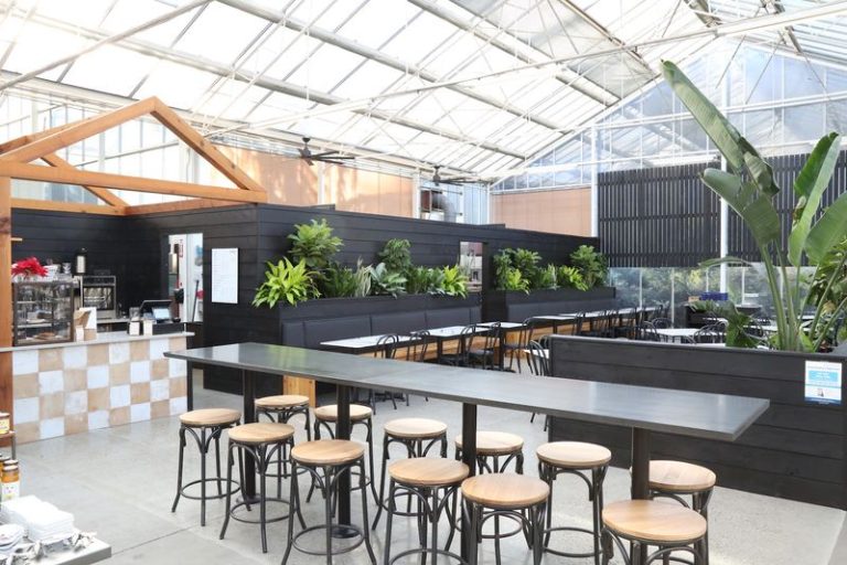 This Washington Greenhouse Hides A Cozy Cafe Right In The Middle Of Endless Plants