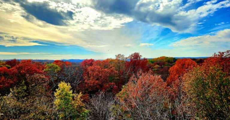 Fall Color Peaks Along The Bluffs At This Illinois State Park Most Families Drive Right Past