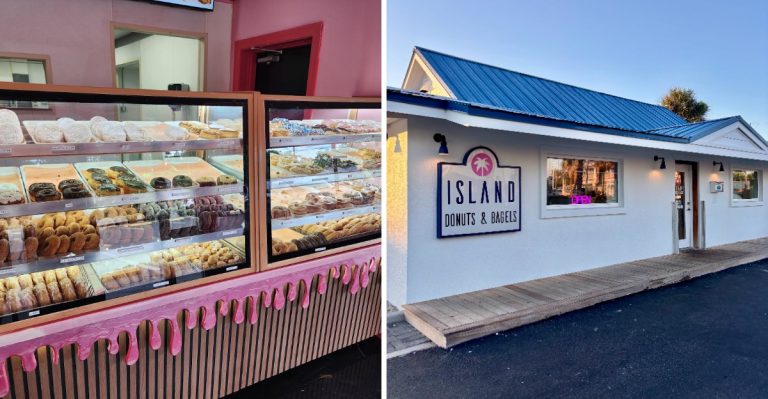 We Ranked 10 Florida Pumpkin Donut Spots From Good To Absolutely Worth The Drive