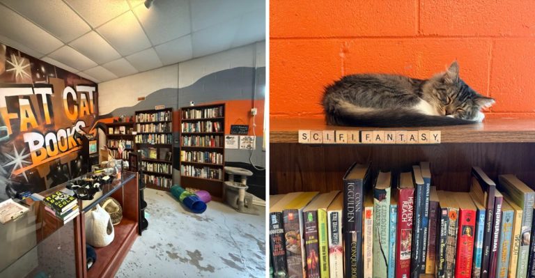 This Charming Florida Bookstore Pairs Endless Aisles With Resident Cats