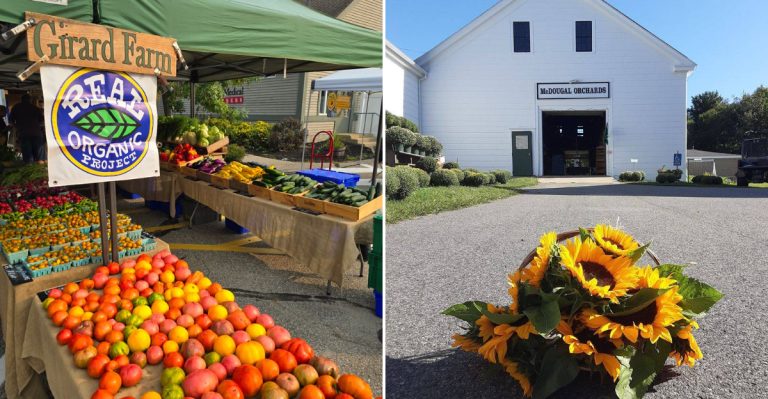 9 Maine Farm Stands That Get Even Better During September Harvest Season