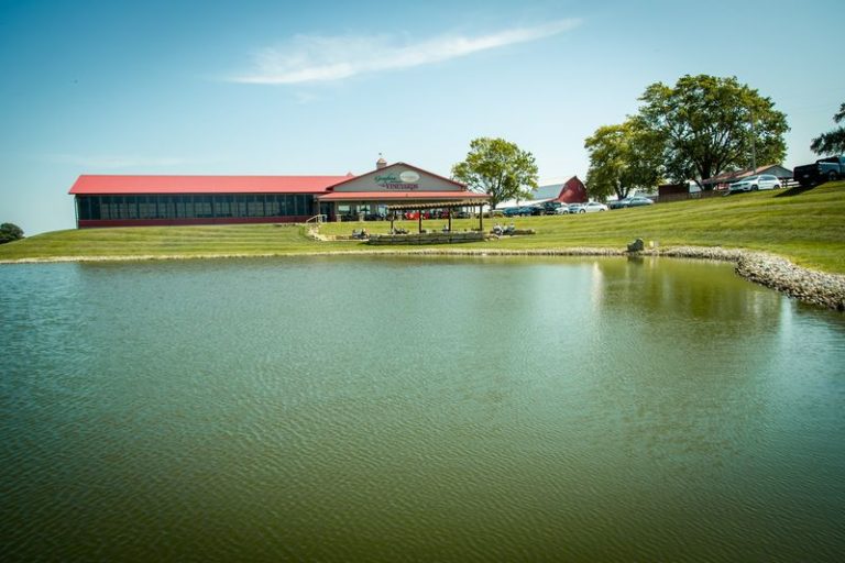 This Illinois River Town Packs A Vineyard Trail And Bluff-Top Overlooks Into One Weekend