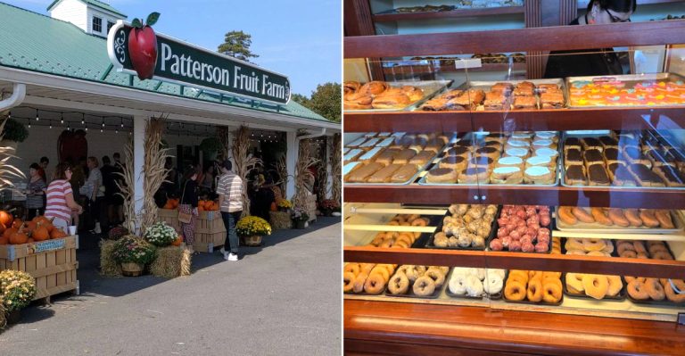 11 Ohio Donut Counters Where Fall Flavor Arrives Early