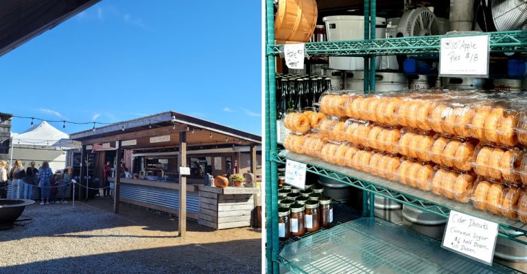 This South Carolina Apple Orchard Makes Cider Donuts People Drive Miles To Get