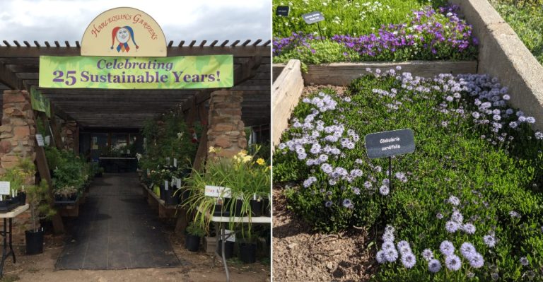 Colorado-Native Plants And Xeriscape Treasures Thrive At This Boulder Garden Hideaway