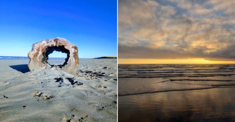 This Washington Coastline Turns A Shovel And A Low Tide Into Dinner