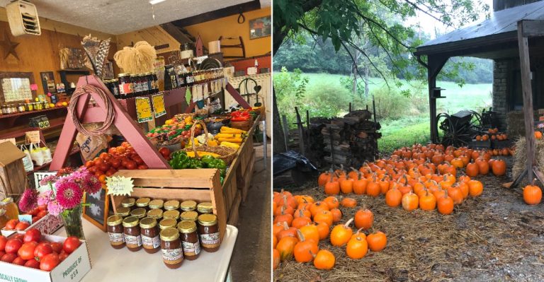 This Cash-Only Ohio Apple Orchard Is An Old-Fashioned Fall Favorite