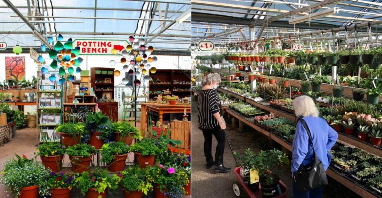 Fort Collins Gardeners Have Returned To This Colorado Nursery Since 1932