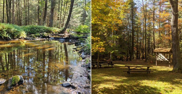 This Secret Pennsylvania State Park Feels Almost Completely Forgotten
