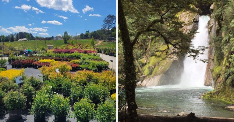 10 Quiet Upstate South Carolina Towns Perfect For An Apple Picking Road Trip