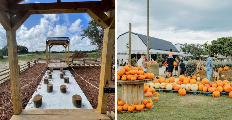 One Of South Florida’s Most Colorful Harvest Festivals Returns This September