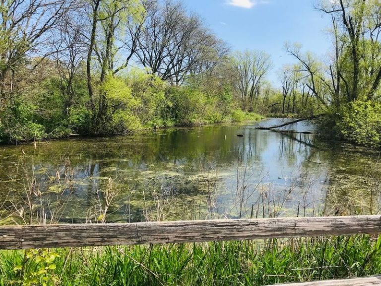 This Illinois Ravine Preserve Lets You Hike A Wooded Bluff Down To A Scenic Lake Michigan Beach