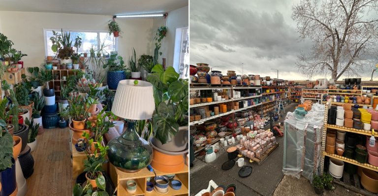 This Colorado Pottery Warehouse Is Packed With Affordable Pots And Garden Finds