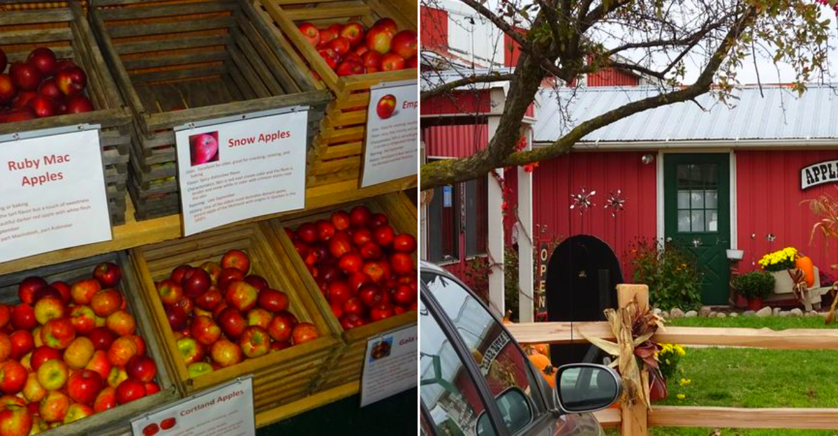 The Fruitful Orchard And Cider Mill