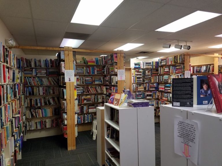 This Under-The-Radar Illinois Bookstore Rescues Cats And Lets You Adopt One While You Browse