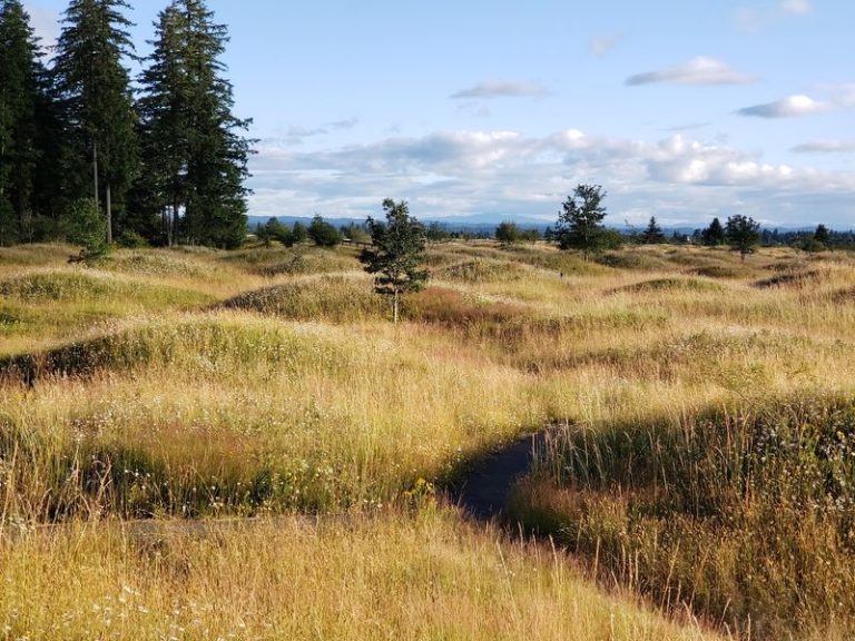 Mysterious Mounds Dot A Prairie Trail In Washington That Kids Treat Like A Treasure Hunt