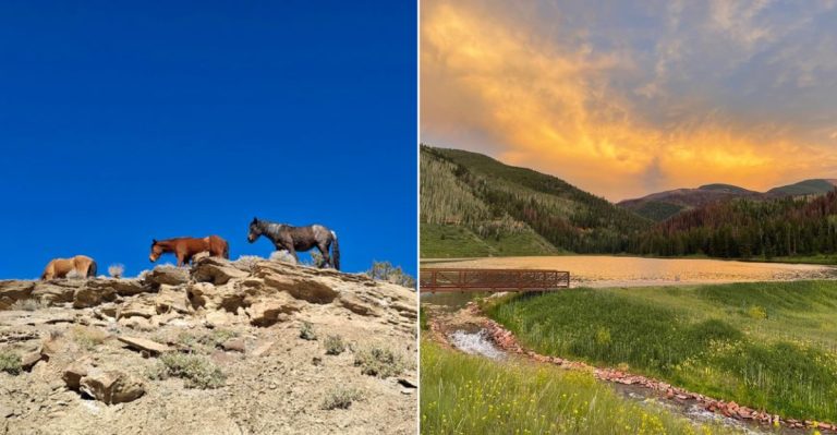 People Live Here Their Whole Lives And Still Miss These 10 Enchanting Places