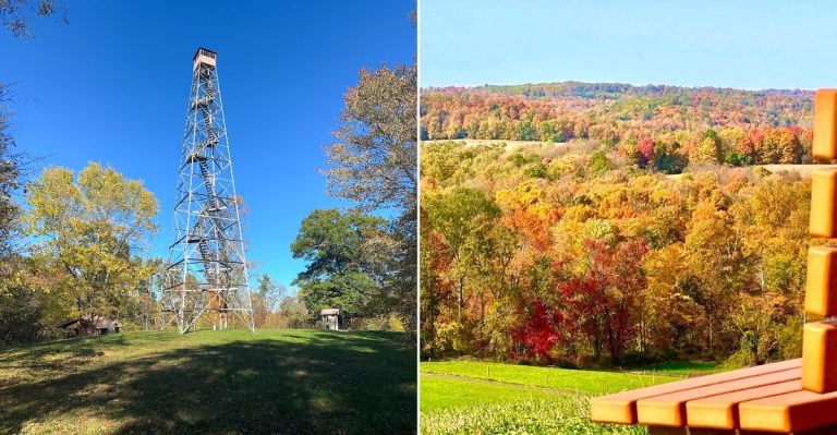 11 Ohio Fire Towers And High-Up Views Made For Fall Foliage Season