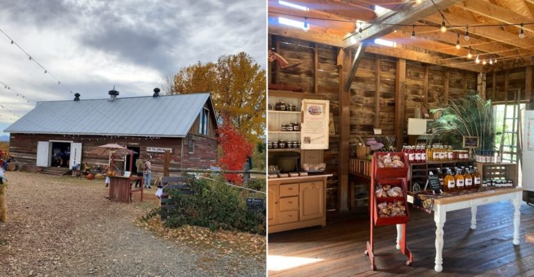 This Colorado Apple Orchard Makes Cider Donuts People Drive Miles To Get