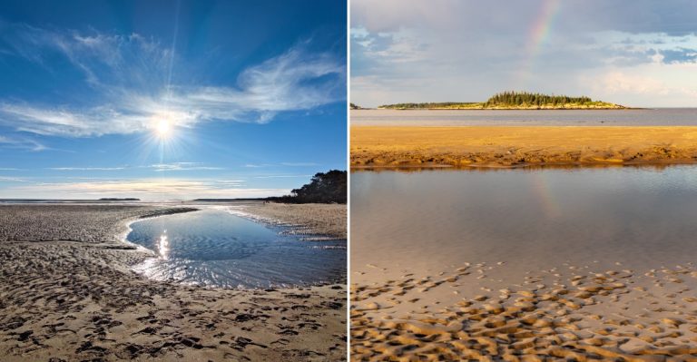 This Stretch Of Maine Shoreline Has Visitors Watching Their Step For A Rather Unusual Reason