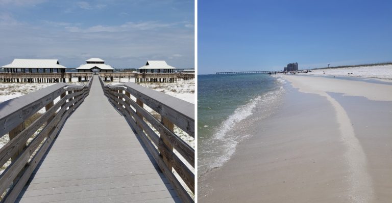 The Quiet Florida Gulf Beach With A Hidden Jellyfish Problem Most Travelers Miss
