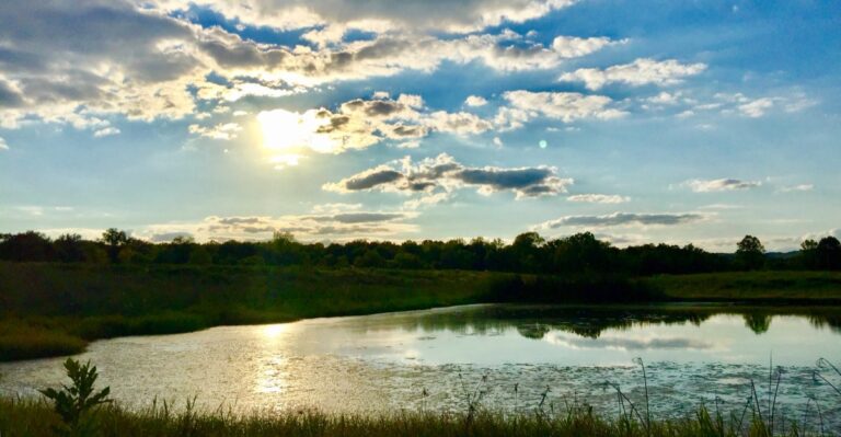 This Missouri Town Disappeared After Its Roads Were Sprayed With Toxic Oil