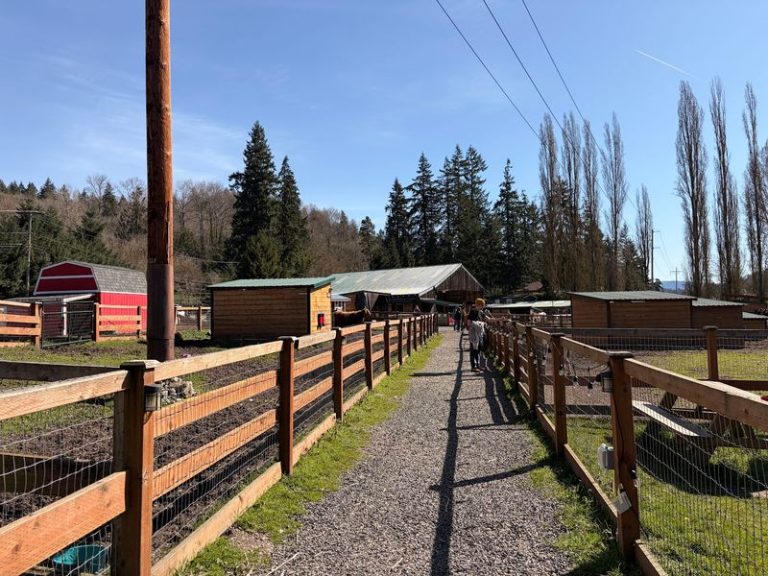 This Peaceful Washington Sanctuary Lets You Meet Rescued Farm Animals Living Out Their Days In Comfort