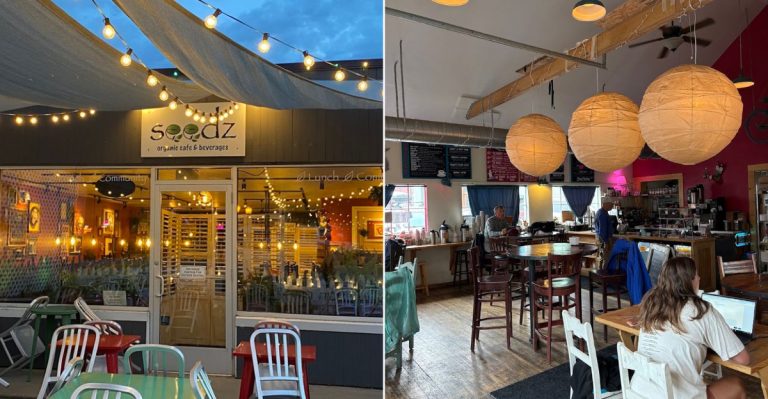 12 Colorado Allergy-Friendly Lunch Spots Families Keep Coming Back To This Summer