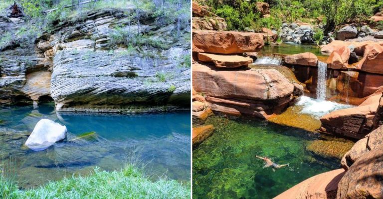 This Hidden Garden Trail In Arizona Leads To A Stunning Crystal-Clear Spring