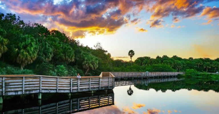 This Two-Mile Florida Boardwalk Trail Winds Through A Hidden Bird Sanctuary Most Drivers Miss