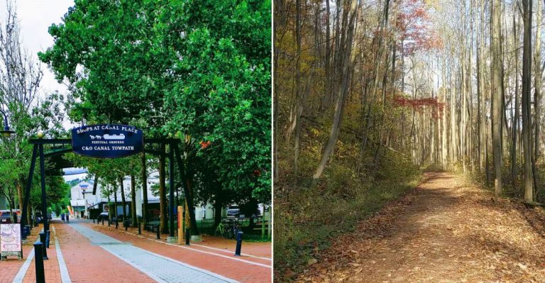 This Small Town Pennsylvania Trail Built A Massively Loyal Community Of Daily Walkers