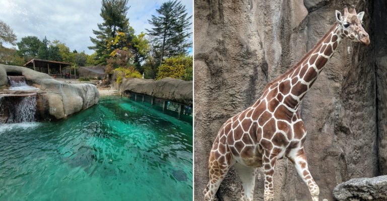 You’ll Find One Of America’s Most Remarkable Zoos Right In Pennsylvania