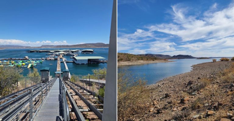 This Arizona Lake Shore Is Getting Too Snake-Infested For Its Own Good