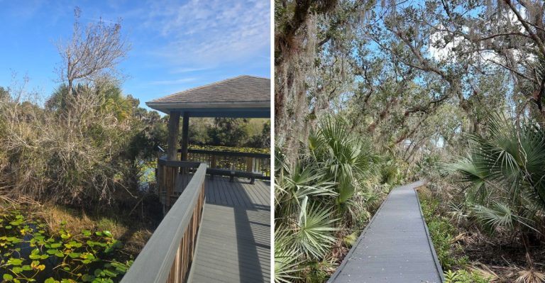 This Peaceful Florida Wildlife Drive Near Titusville Brings Manatees, Gators, And Birds Right Outside Your Window