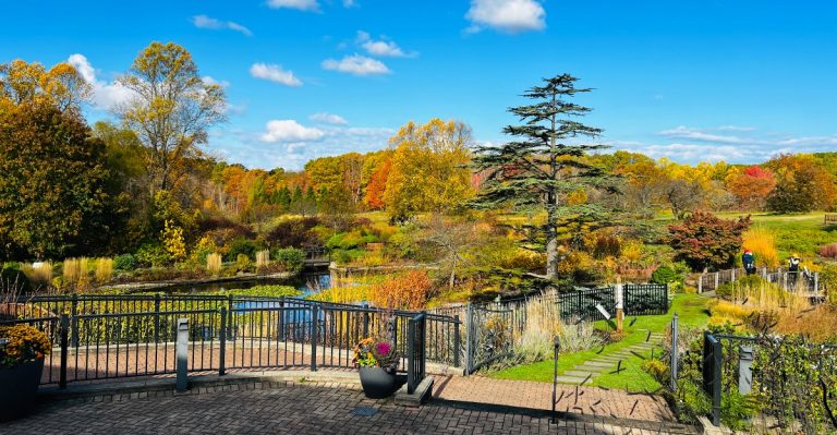 The Northeast Ohio Arboretum Where You Can Walk Through The Fall Treetops