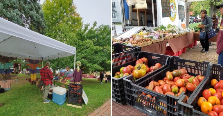 We Ranked Maine’s 8 Best Farmers Markets And The Results Might Surprise You