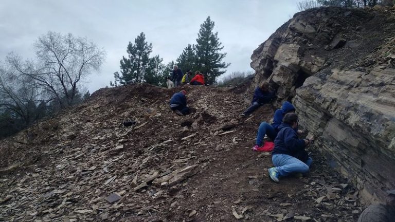 This Washington Park Lets You Chip Ancient Fossils Out Of The Rock And Take Them Home