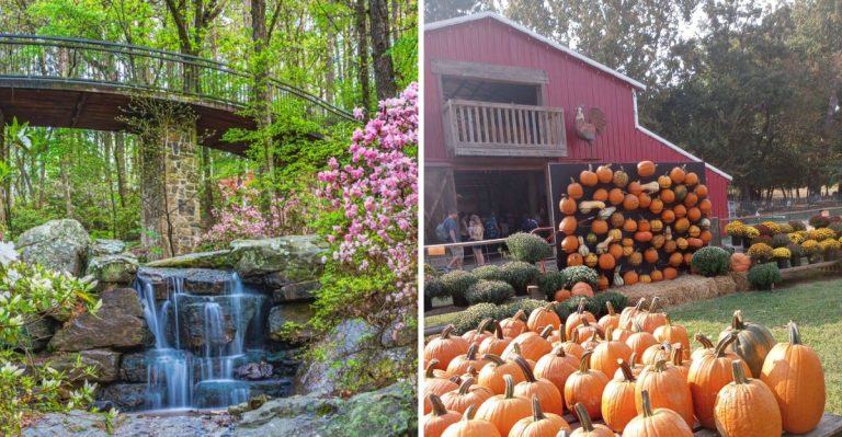 12 Family-Friendly Arkansas Day Trips That Feel Like Autumn Mini Getaways