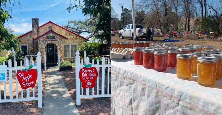 These 12 Texas Farm Markets Have So Much More Than Fresh Produce