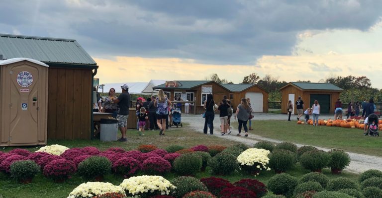 Pick Your Own Apples At This Stunning Northeastern Pennsylvania Orchard