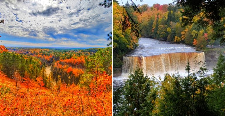 The Beauty of Michigan Fall