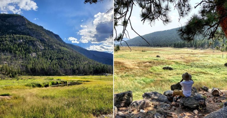 This Quiet Colorado Trail Might Be One Of The Best Places To Hear Elk Bugling This Autumn