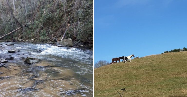 This Remote South Carolina Mountain Town Is So Underrated Even Most Locals Haven’t Heard Of It